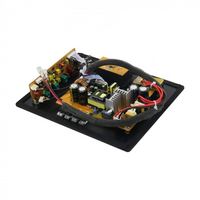 Theater Audiophile Subwoofer Amplifier Board Plate Amp Subwoofer Ethics Sound Rated 200W Output