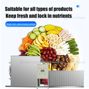 Liofilizador Eléctrico Comercial de 220V, Máquina de Liofilización Automática de Gran Volumen para Alimentos - Product Image 3