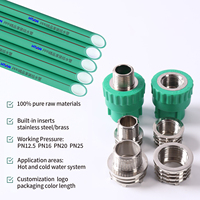 Embout de tuyau PPR, bouchon de raccordement par fusion pour l'étanchéité et les tests de pression des conduites d'eau, approvisionnement en vrac PN25 20-110mm DIN