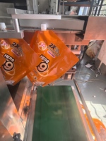 Machine de remplissage de liquides en sachets économique, mobile et entièrement automatique en acier inoxydable pour détergent liquide, savon et emballage en sachets à bec verseur