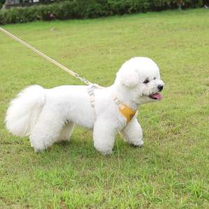 Arnés de perro de lana de peluche con logotipo personalizado de lujo, correa de cuello de Mascota de poliéster suave de alta calidad, arnés de chaleco de perro de diseñador pequeño - Product Image 5