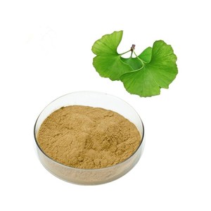 Gingko สารสกัดจากผง24% flavonoids ที่6% terpene lactones - Product Image 1