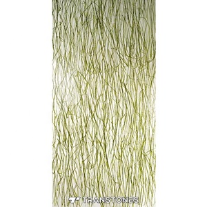 Mờ Acrylic <span class=keywords><strong>Resin</strong></span> Nội Thất Tấm Tường PETG Thực Vật Tấm - Product Image 3