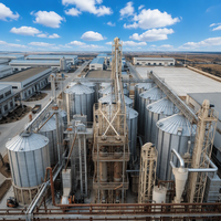 Usine de rizerie automatique à grande échelle de 100 tonnes/jour avec échangeur de chaleur pour le traitement du riz, marque LIKAI