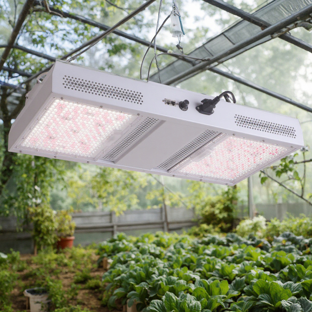 1930e 800W High PPFD LED Grow for Light Full Spectrum Aluminum IP65 LM301H Chips for Indoor Plant Growing