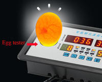 Contrôleur de température numérique pour l'incubation des œufs, affichage LED de la température et de l'humidité, AC110 220V, 12V, directement de l'usine