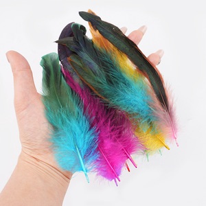 50 Plumes colorées <span class=keywords><strong>de</strong></span> <span class=keywords><strong>coq</strong></span> <span class=keywords><strong>de</strong></span> 12-20 cm <span class=keywords><strong>pour</strong></span> coiffure indienne, décoration DIY, jouet amusant <span class=keywords><strong>pour</strong></span> chat, artisanat et ornements - Product Image 2