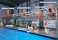 Ligne de traitement automatique industrielle pour l'abattage de poulets 1000BPH, équipement d'abattoir avicole en acier inoxydable SUS304