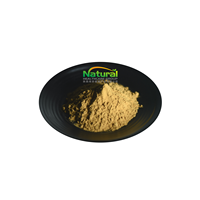 Epimedium macun peut être personnalisé en usine, pâte d'épimedium 100%, extrait d'herbe de chèvre cornée