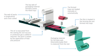 Machine d'emballage thermoformante automatique polyvalente pour fromages, viandes et aliments surgelés multi-produits