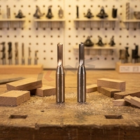 KWS Factory Wholesale 1/2*3*8 2T Forets de défonceuse pour le travail du bois sur défonceuse de table