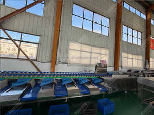 เครื่องสกัดเมล็ดทับทิมและเครื่องคัดแยก - Product Image 3