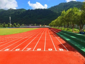Pista de Atletismo Semiprefabricada INOLP, Resistente a los Rayos UV, Resistente a la Intemperie, con Absorción de Impactos y Ecológica - Product Image 6