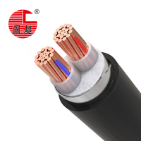 Cable de alimentación YJV22-0.6/1kV de 2 núcleos con conductor de cobre sin oxígeno, armadura de cinta de acero y retardante de llama (10mm²-95mm²) en stock