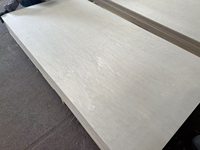 Panneaux en placage de peuplier 1220x2440mm, épaisseur 2-30mm, norme E1, utilisation extérieure, qualité supérieure