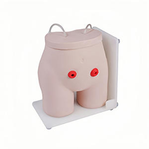 Mô hình mô phỏng điều dưỡng chăm sóc lỗ rò cho đào tạo y tá và khoa học y tế trong trường học - Product Image 3