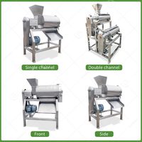 Machine à pulpe de fruits pour jus de mangue, dépulpeur de fruits, pulpeur de tomates, fabrication de confiture de kaki