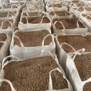 Granulés <span class=keywords><strong>de</strong></span> biomasse 100 % fibres <span class=keywords><strong>de</strong></span> <span class=keywords><strong>bois</strong></span>, en forme <span class=keywords><strong>de</strong></span> tiges, pour cuisson, fabriqués à partir <span class=keywords><strong>de</strong></span> copeaux <span class=keywords><strong>de</strong></span> <span class=keywords><strong>bois</strong></span>, valeur calorifique 90-95 %, diamètre 6 mm/8 mm – Vente chaude - Product Image 5