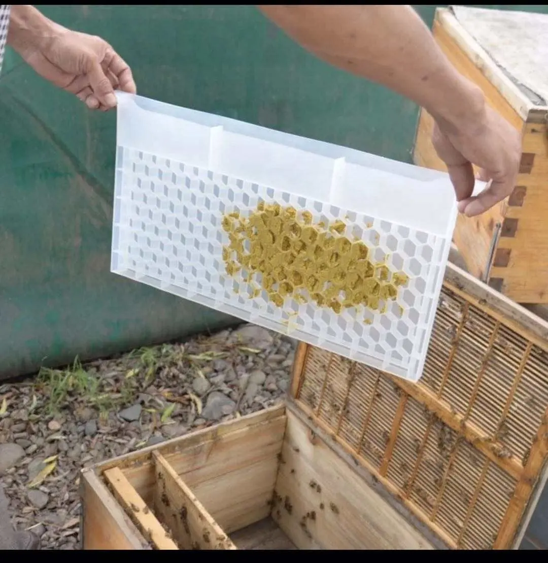 Marco de plástico multifunción de grado alimenticio para polen de abeja, alimentador de abejas para herramientas de Apicultura
