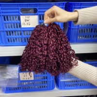 Offre Spéciale – Cheveux Vietnamiens 100 % Naturels, Non Traités, Prix Usine, Plumes de Cheveux au Crochet pour Tresses, Bouclés Pixie 99j #   pour un style bouclé