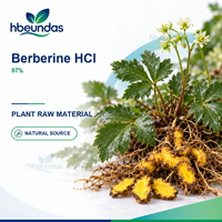 Poudre de berbérine HCl HBEUNDAS 97% de qualité alimentaire, ingrédient d'extrait végétal en gros pour marque privée OEM