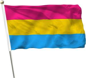 Nuevas Banderas del Orgullo Bisexual, LGBTQ, No <span class=keywords><strong>Binario</strong></span>, Lésbico, Gay y Transgénero, con el Arcoíris del Orgullo y la Lucha por el Progreso - Product Image 4