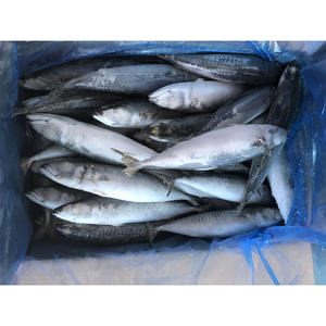 Maquereau du Pacifique entier congelé 300-400g - Product Image 3
