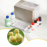 Kit de diagnostic ELISA pour la détection des anticorps du virus de la maladie de Newcastle (NDV) pour les fermes avicoles