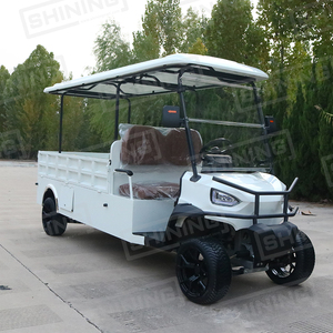 Voiture de <span class=keywords><strong>golf</strong></span> électrique personnalisable Shininglsv à 2 places, 72V, construction en métal à plateau plat, moteur AC 5KW, autonomie de 70 à 90 km, certifiée CE/DOT - Product Image 4