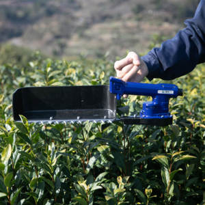 농업용 경량 차잎 채취기 신형 리튬 배터리 고효율 정밀 절단 차 따는 기계 - Product Image 5