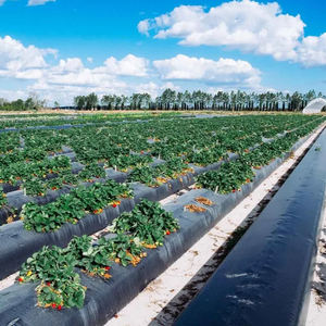 Película de Plástico Reflectante para Agricultura, Película de Acolchado para Invernadero - Product Image 1