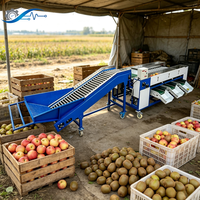 Automatische fruit sorteermachine met hefband, hoge nauwkeurigheid voor boerderijen en exportverpakkingsbedrijven