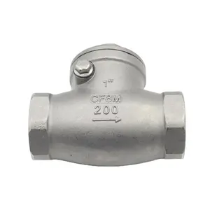 H14W 200wog Stainless Steel BSPT Threaded Swing Check Valve