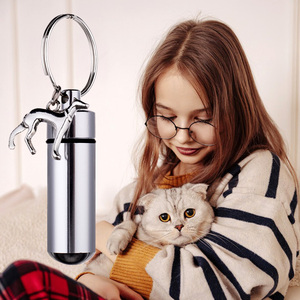 Evcil hayvan vazosu toptan anahtarlık külleri anahtarlık köpekler külleri sake sake kremasyon takı paslanmaz çelik evcil hayvan vazosu s kolye Pet anıt - Product Image 3
