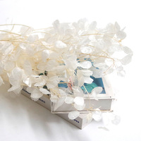 Branches de fleurs séchées en gros pour événements : tiges de Lunaria Silver Dollar en vrac pour toiles de fond de cérémonie et présentations sur table commémorative