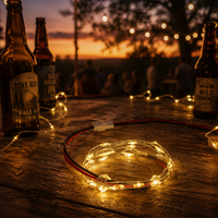 Guirlandes lumineuses LED en fil de cuivre, lumières féériques, connecteur JST, largement utilisées pour la décoration de boîtes cadeaux, l'éclairage de modèles