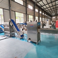Machine à éplucher les oignons en acier inoxydable DY 304 à haute efficacité avec composants de moteur, ligne de production d'oignons 500 kg/h 1000 kg/h
