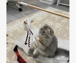 China Factory Nuevo diseño Cat Stick Toy 1PC Color aleatorio Divertido Ratón en forma de Teaser Play Wand para gatos hecho de esponja de plumas - Product Image 2