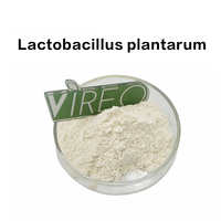 Poudre de Lactobacillus Plantarum pour additifs alimentaires et pour animaux, directement de l'usine, haute pureté