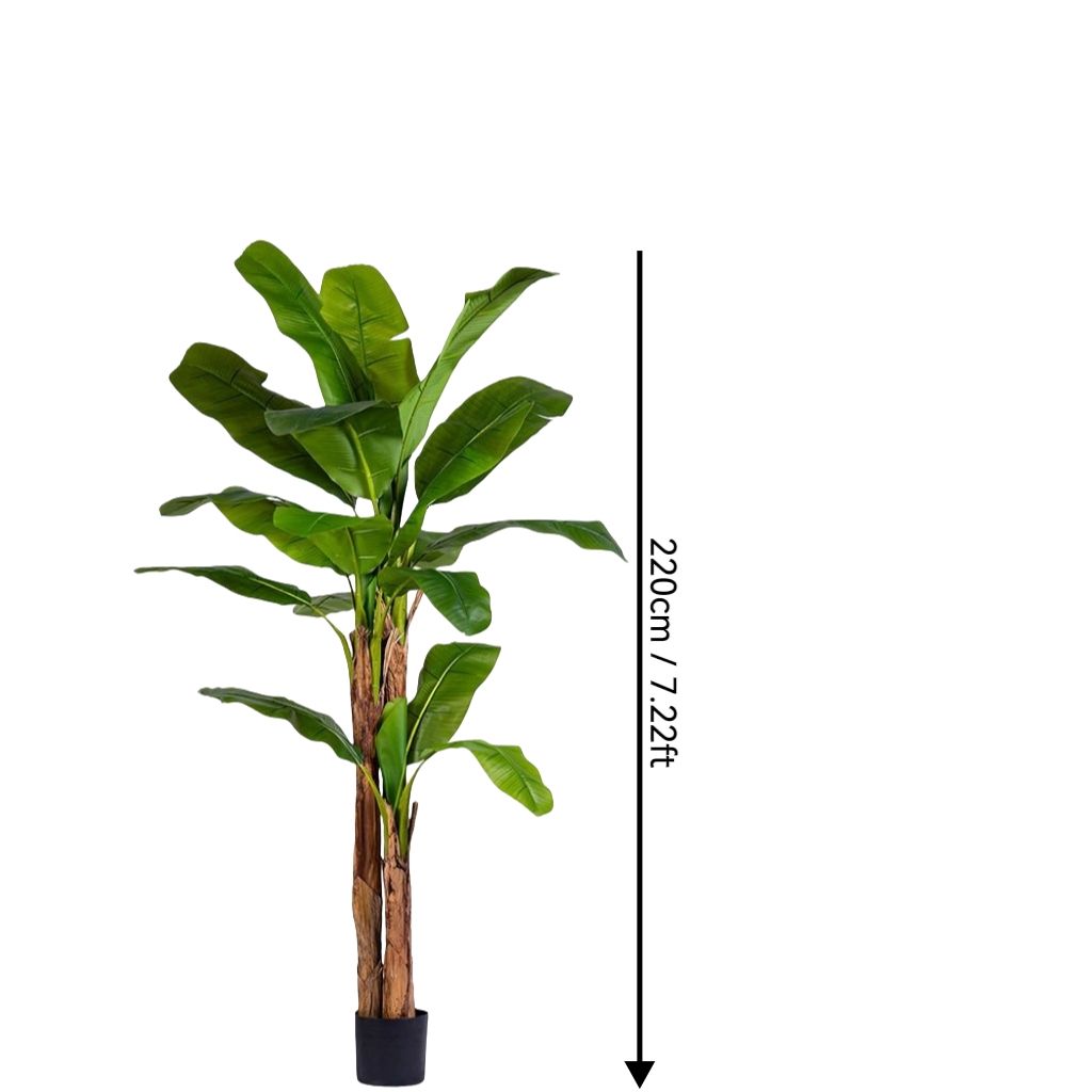 Vert 7,22 pieds/220 cm