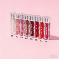Gloss à lèvres naturel, végétalien, longue tenue, waterproof, haute pigmentation, en stock, faible MOQ, fabricants de cosmétiques pour les lèvres