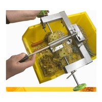 Roestvrijstalen Ananas Snijmachine Dunschiller Fruit Corer Snijmachine Keuken Easy Tool Ananas Spiraal Snijder