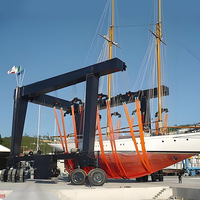Grue marine mobile de 300 tonnes, grue portique robuste, engrenage de moteur haute efficacité, télécommande, pneus en caoutchouc, équipement de levage de bateaux