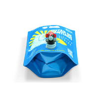 Sac Bag-in-Box (BIB) en plastique de qualité alimentaire imprimé en héliogravure 3L 5L pour jus de fruits et vin avec robinet papillon