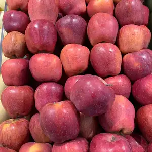 Nueva cosecha de China, suministro de frutas de manzana Fuji Rojas frescas de grado superior durante todo el año