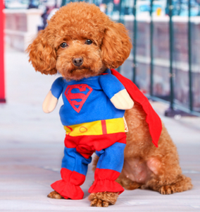 Забавный высококачественный костюм для косплея для собаки йорки, чихуахуа, Мальтезе, пуделя, Кокера - Product Image 5