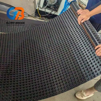 Planche de drainage rainurée en HDPE avec fonction de drainage efficace, adaptée aux projets de construction et de aménagement paysager