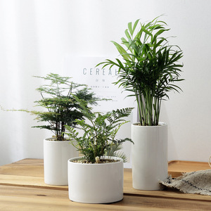 <span class=keywords><strong>Pot</strong></span> <span class=keywords><strong>de</strong></span> Fleurs en Céramique Blanche Design Personnalisé pour Bureau, Hôtel, Table, Jardin, <span class=keywords><strong>Balcon</strong></span>, Simple Européen, pour Succulentes - Product Image 3