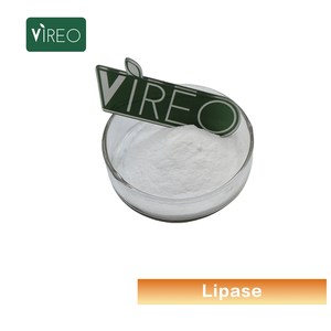 Envio Rápido: Pó de Enzima Lipase 5.000u/g Grau Alimentício para Suplemento de Saúde, Pó Puro com Preço de Atacado - Product Image 2