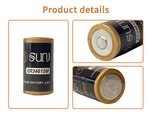 צפיפות אנרגיה גבוהה 13ah ללא נטענת re34615m קיבולת גדולה 3.6v עבור יישומי שלט רחוק - Product Image 2